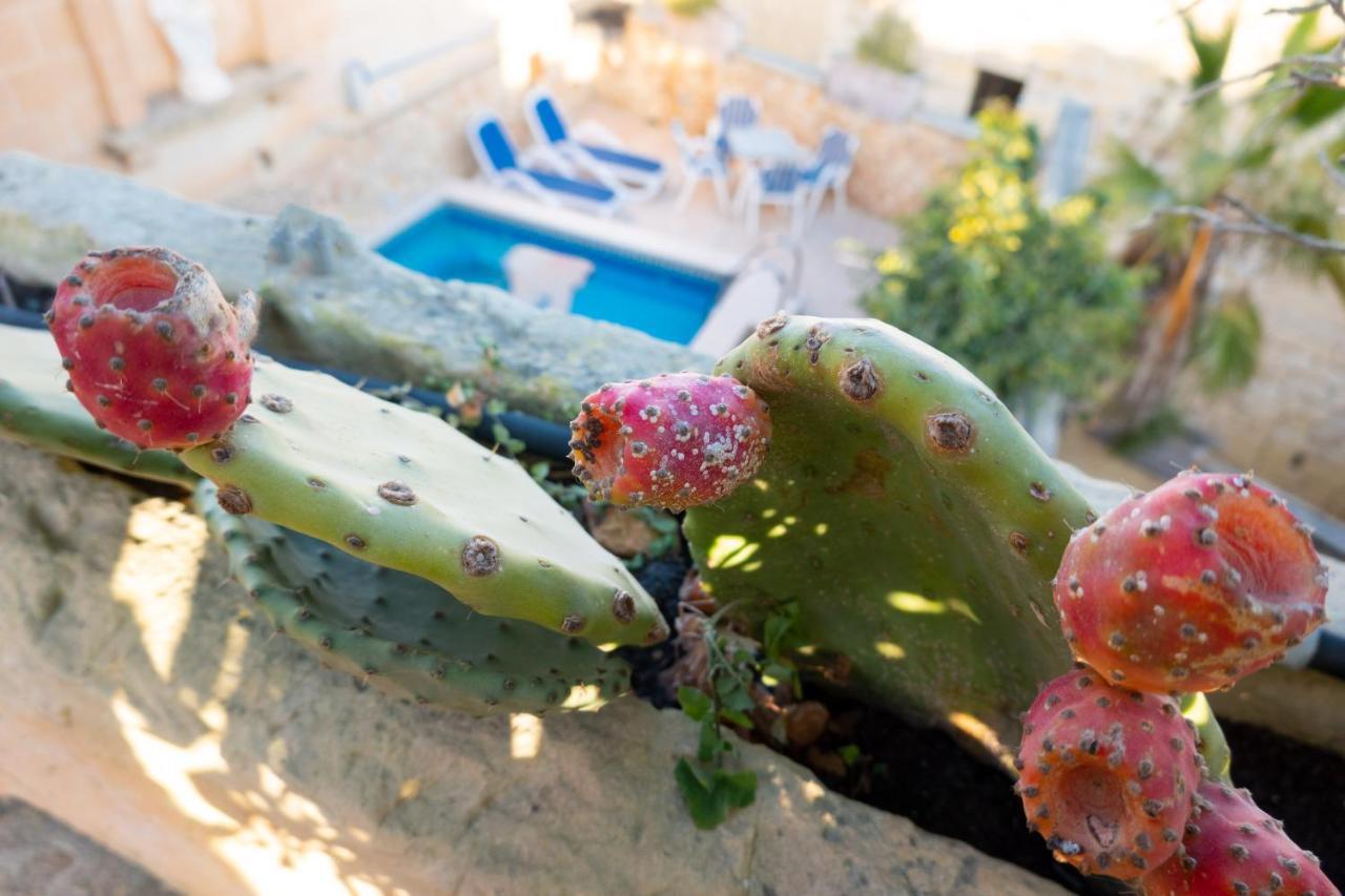 Prickly Pear Holiday Home No.1 San Lawrenz Eksteriør bilde